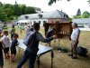 P1290453 [14 juillet 2017]