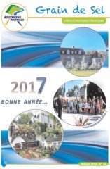 grain de sel n34 janvier 2017