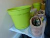 P1290956 [maisons fleuries 2017]
