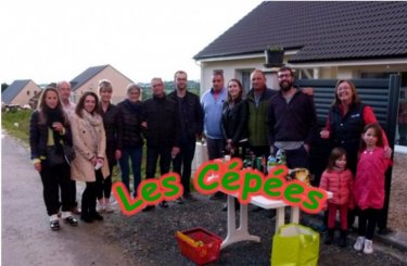 les cépées