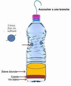 piège frelon asiatique