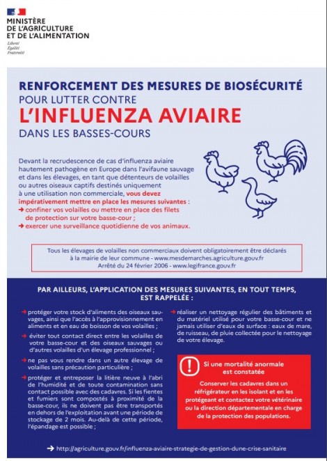 Lutte contre l’influenza aviaire