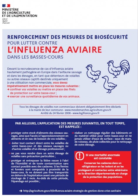Présence du virus de l’influenza aviaire