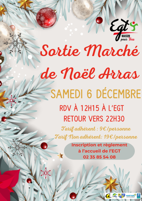 Sortie: Marché de Noël à Arras