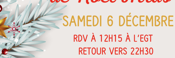 Sortie: Marché de Noël à Arras