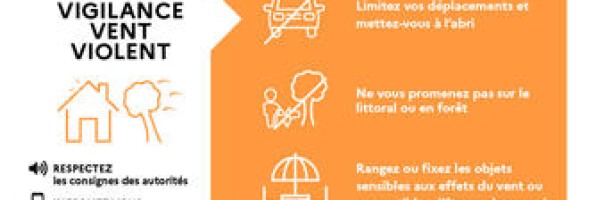 Vigilance vents violents