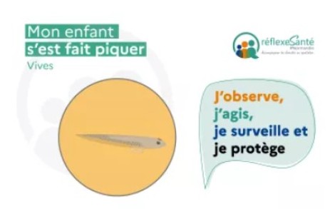 Piqûre de vive, quoi faire ?