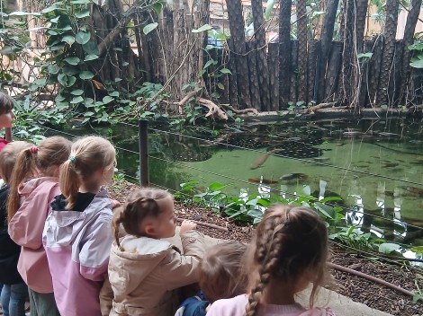 Les élèves de l’école à la découverte de Biotropica