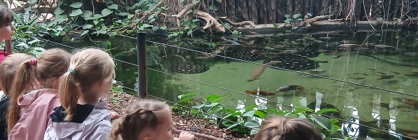 Les élèves de l’école à la découverte de Biotropica