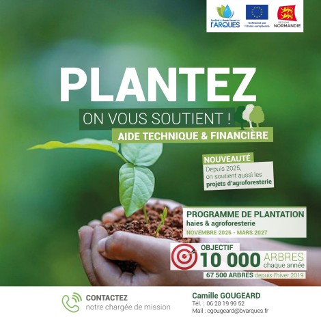 Programme de plantation
