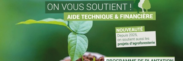 Programme de plantation