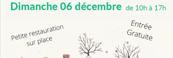 Foire aux jouets et marché de Noël